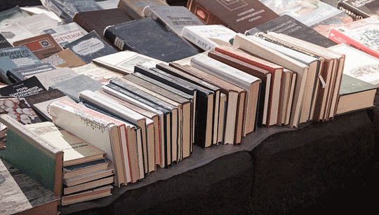 Tipos de novelas